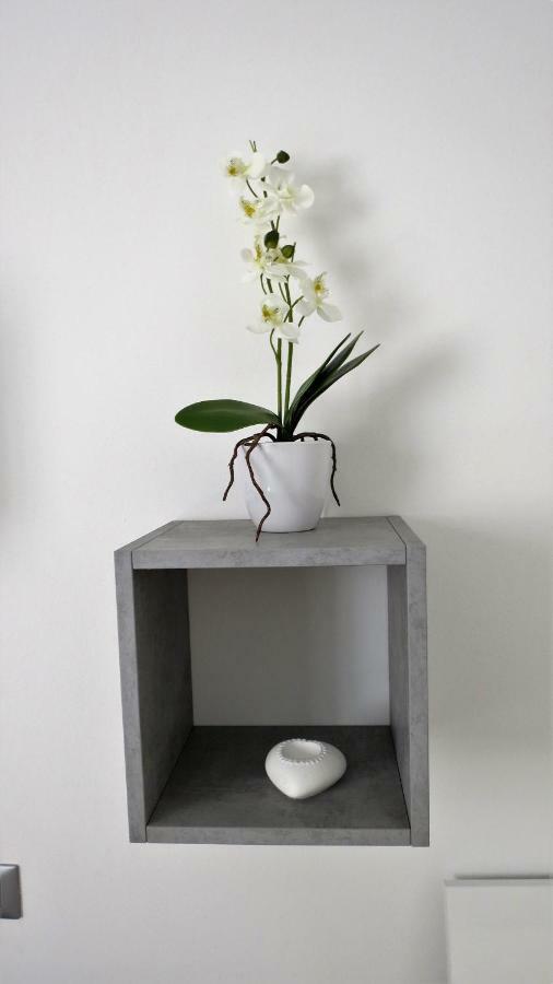 Feel At Home - Casa Alexandra Lovere Bagian luar foto